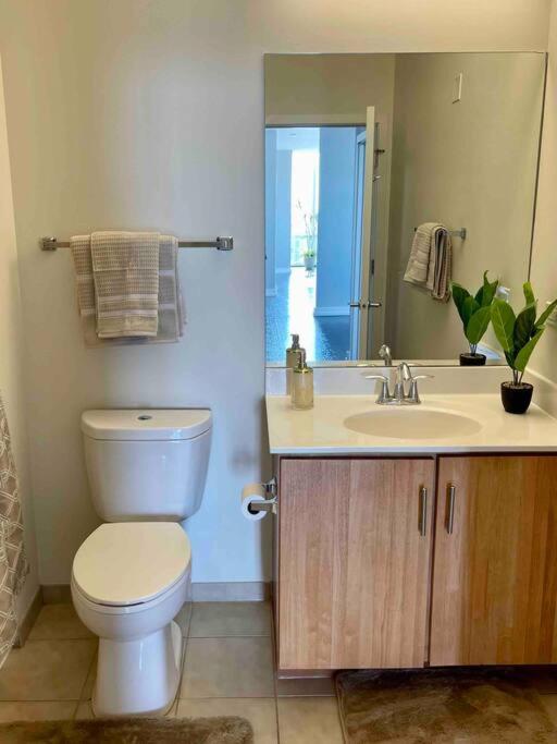 Penthouse In South Loop Chicago Apartment Екстериор снимка