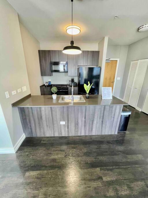 Penthouse In South Loop Chicago Apartment Екстериор снимка
