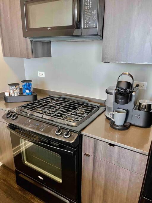 Penthouse In South Loop Chicago Apartment Екстериор снимка